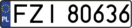 FZI80636