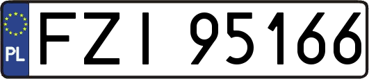 FZI95166