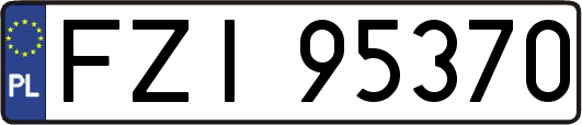 FZI95370