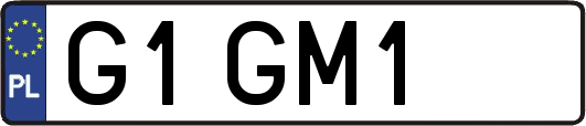 G1GM1