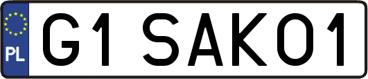 G1SAKO1