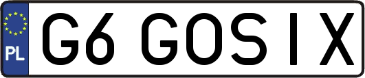 G6GOSIX