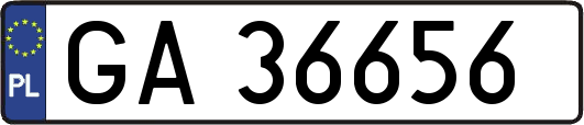 GA36656