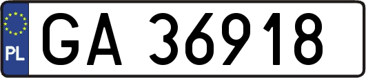 GA36918