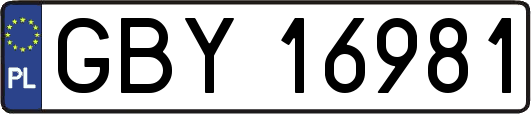 GBY16981