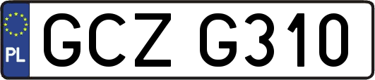 GCZG310