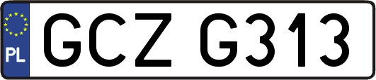 GCZG313