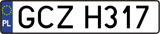 GCZH317