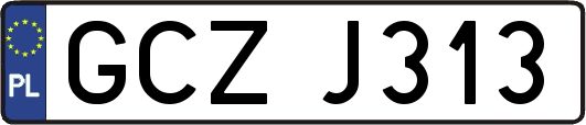 GCZJ313
