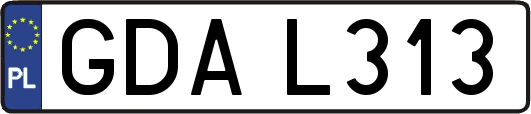 GDAL313