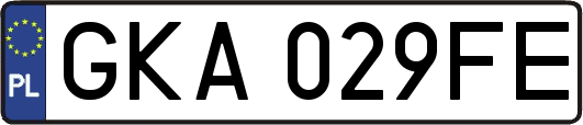 GKA029FE