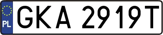 GKA2919T