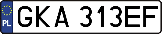 GKA313EF