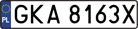 GKA8163X