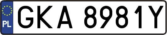GKA8981Y