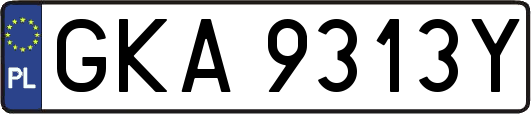 GKA9313Y