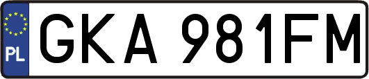 GKA981FM