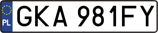 GKA981FY