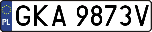 GKA9873V