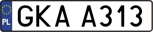 GKAA313
