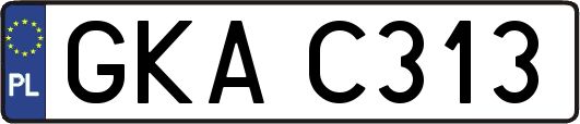 GKAC313