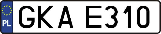 GKAE310