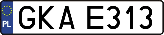 GKAE313