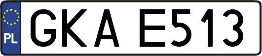 GKAE513