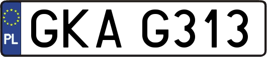 GKAG313