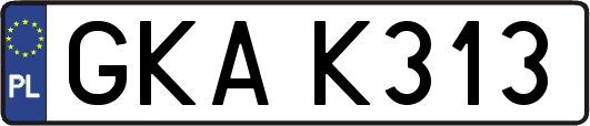 GKAK313