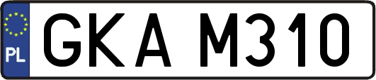 GKAM310