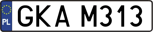 GKAM313