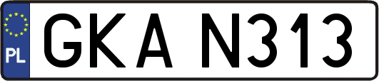 GKAN313