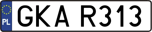GKAR313