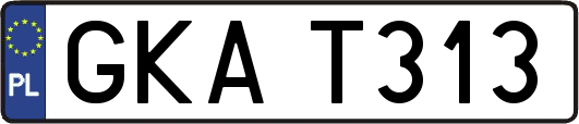 GKAT313