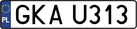 GKAU313