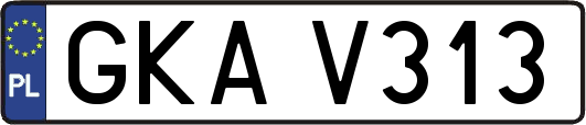 GKAV313