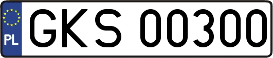 GKS00300