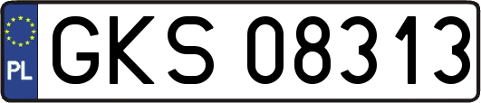 GKS08313