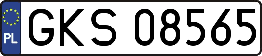 GKS08565