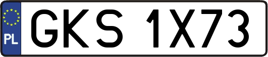 GKS1X73