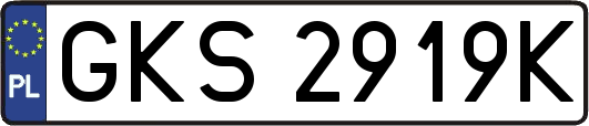GKS2919K