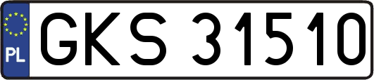 GKS31510