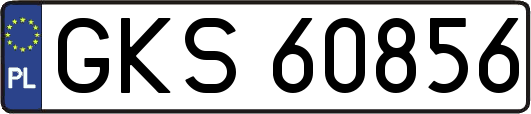 GKS60856