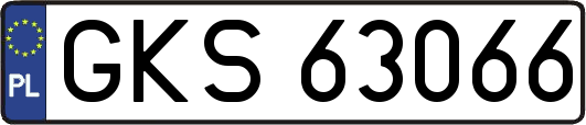 GKS63066