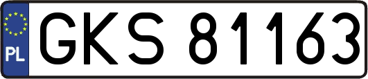 GKS81163