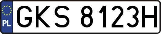 GKS8123H