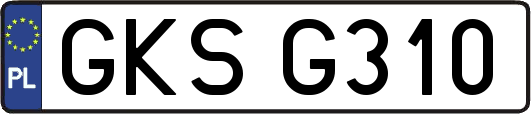 GKSG310