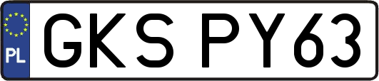 GKSPY63
