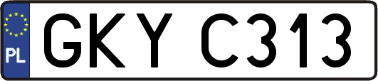 GKYC313